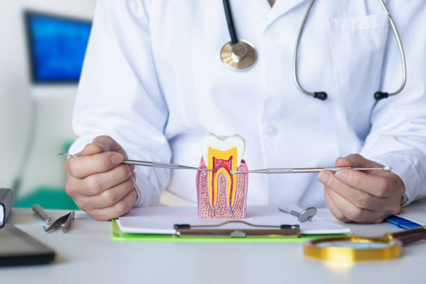 Best Dentist for Tooth Abscess  in Wappingers Falls, NY